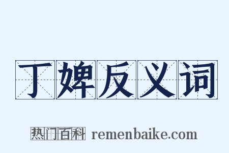 丁婢反义词是什么意思的图片